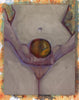 Print of Peaches