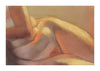Hipbones