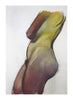 Print of Yellow Flank